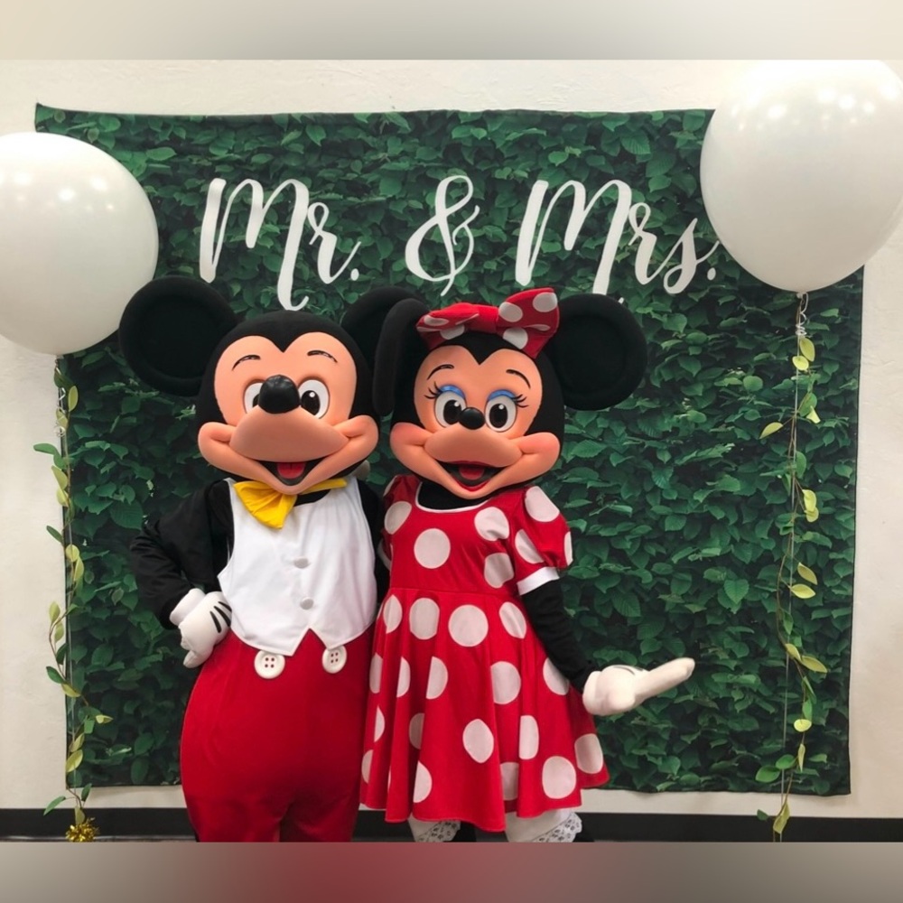 CUSTOM BACKDROP - Mr & Mrs Fabric Hedge Wall